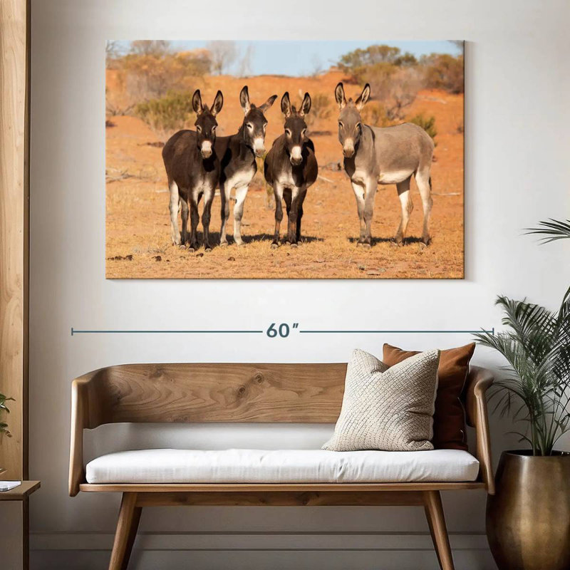 Australian Outback Donkeys, 34" H x 51" W