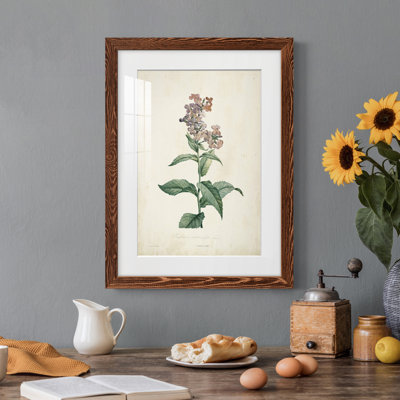 Cadre traditionnel traditionnel Premium Botanical II - prêt à être accroché