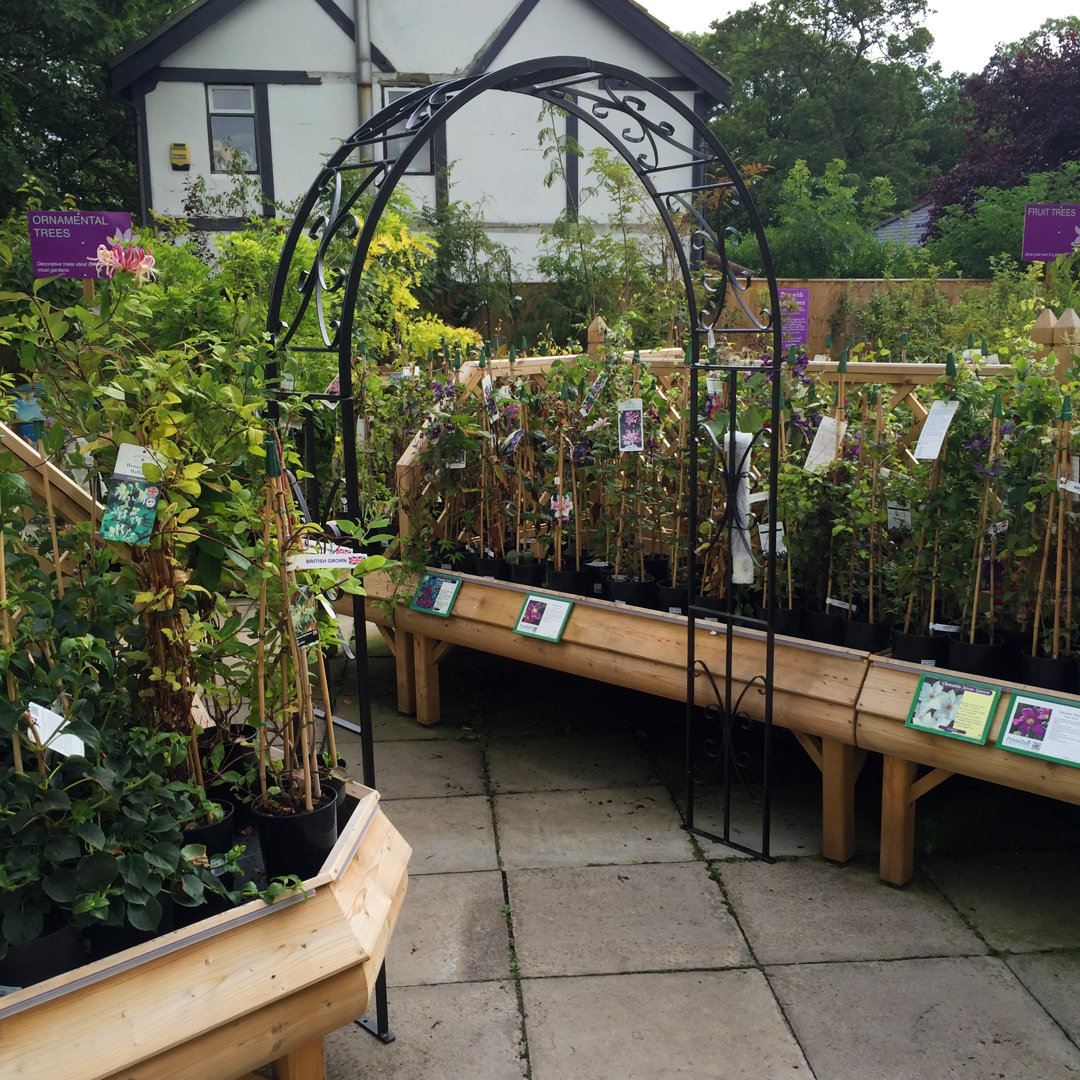 Medway 137cm W x 30cm D Metal Arbour in Black