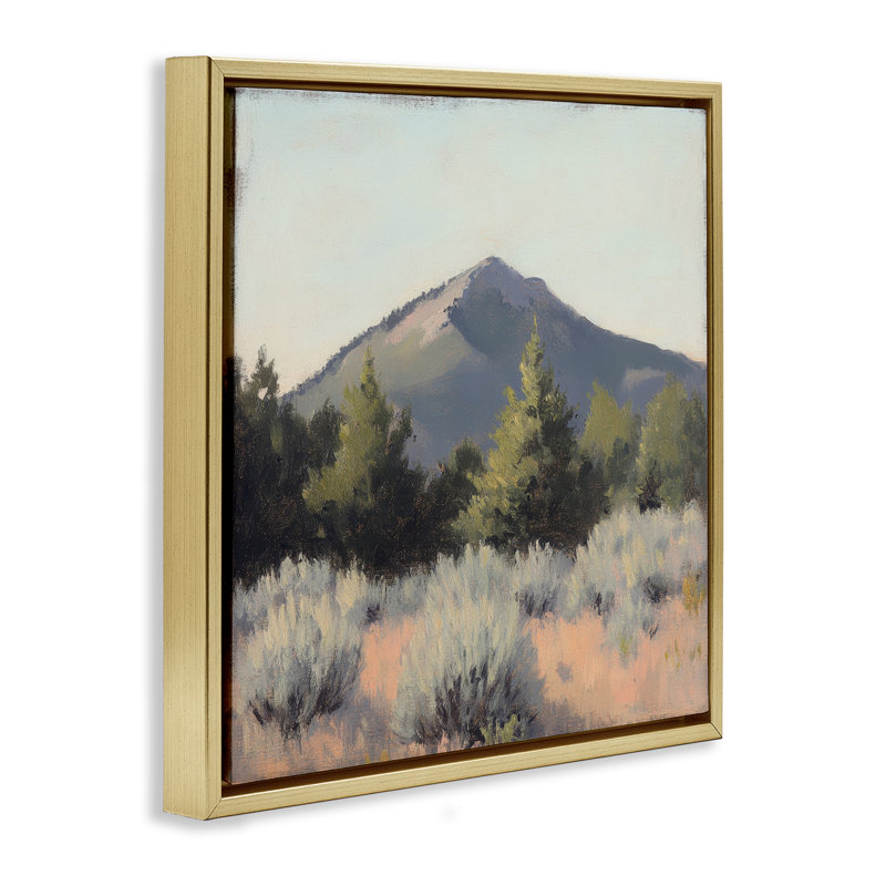 Cadre flottant paysage de montagne Tucson, design par Petal Prints Design, H 25 po x l 25 po, Cadre flottant métallique doré