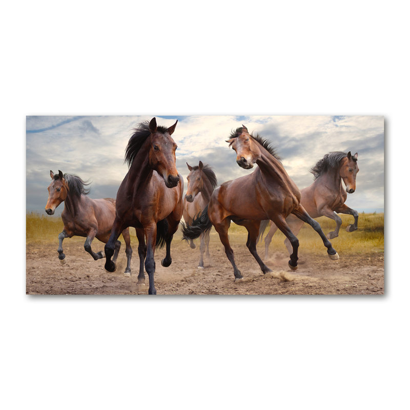 Five Horses - Print, Canvas, 50cm H x 100cm W x 2cm D