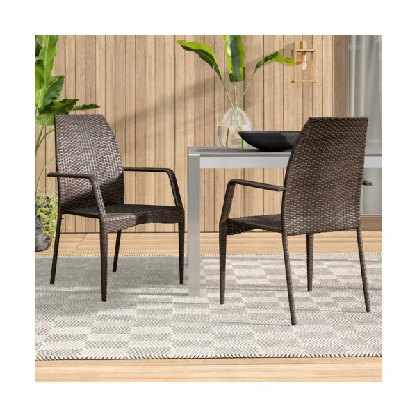 Brown Resin Wicker Outdoor Chairs Set of 2 - Weather Resistant Patio Seating with Iron Frame for Garden, Deck & Poolside