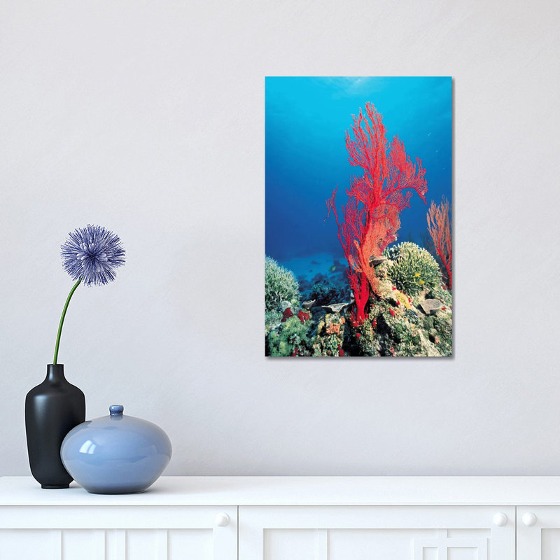 Red Coral by Unknown Artist - Wrapped Canvas Print, 30.48 cm H x 45.72 cm W