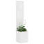 Planter Box-1278993754-1278993752