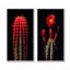 Cactus rouge et noir marron monolithe - ensemble de 2 reproductions d'art mural cactus-766943084-766943081