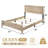 Clean-Line Panel Bed in Warm Natural Finish, Requires Box Spring