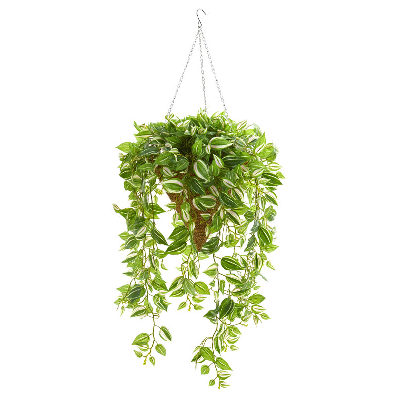 Plante ivy artificielle 48" en panier