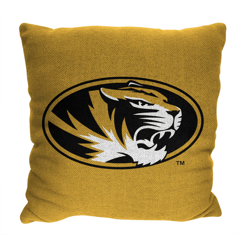 Acrylic Throw Square Pillow Cover & Insert