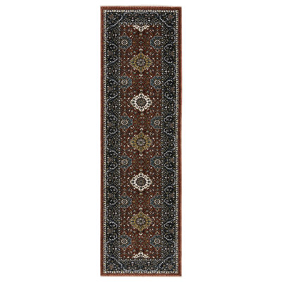 Sorusch Oriental Indoor Rug