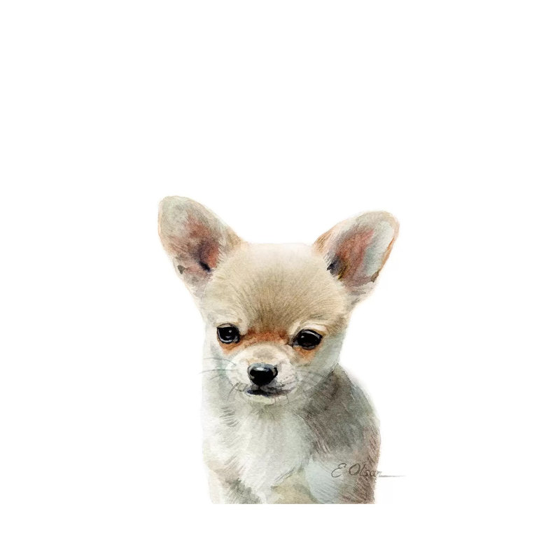 Chihuahua Puppy par Watercolor Luv - reproduction d'art, Toile tendue, H 26 po x l 18 po x 1,5 po, Pas de tapis