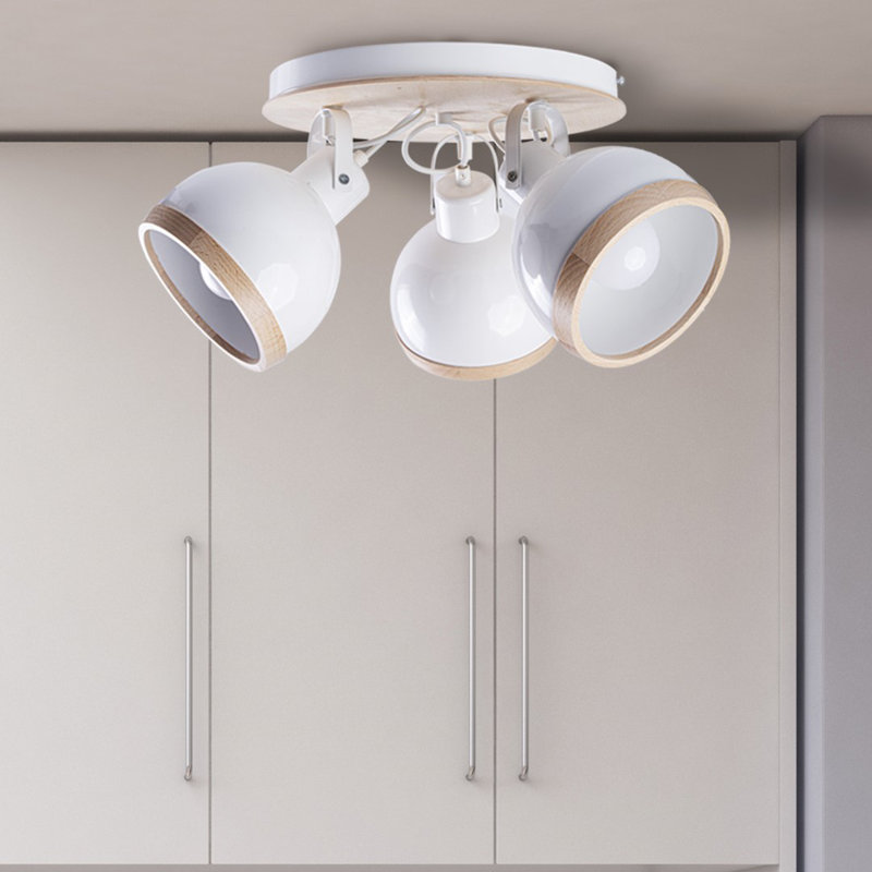 Oval Spotlight
