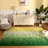 Indoor Rug-900985367