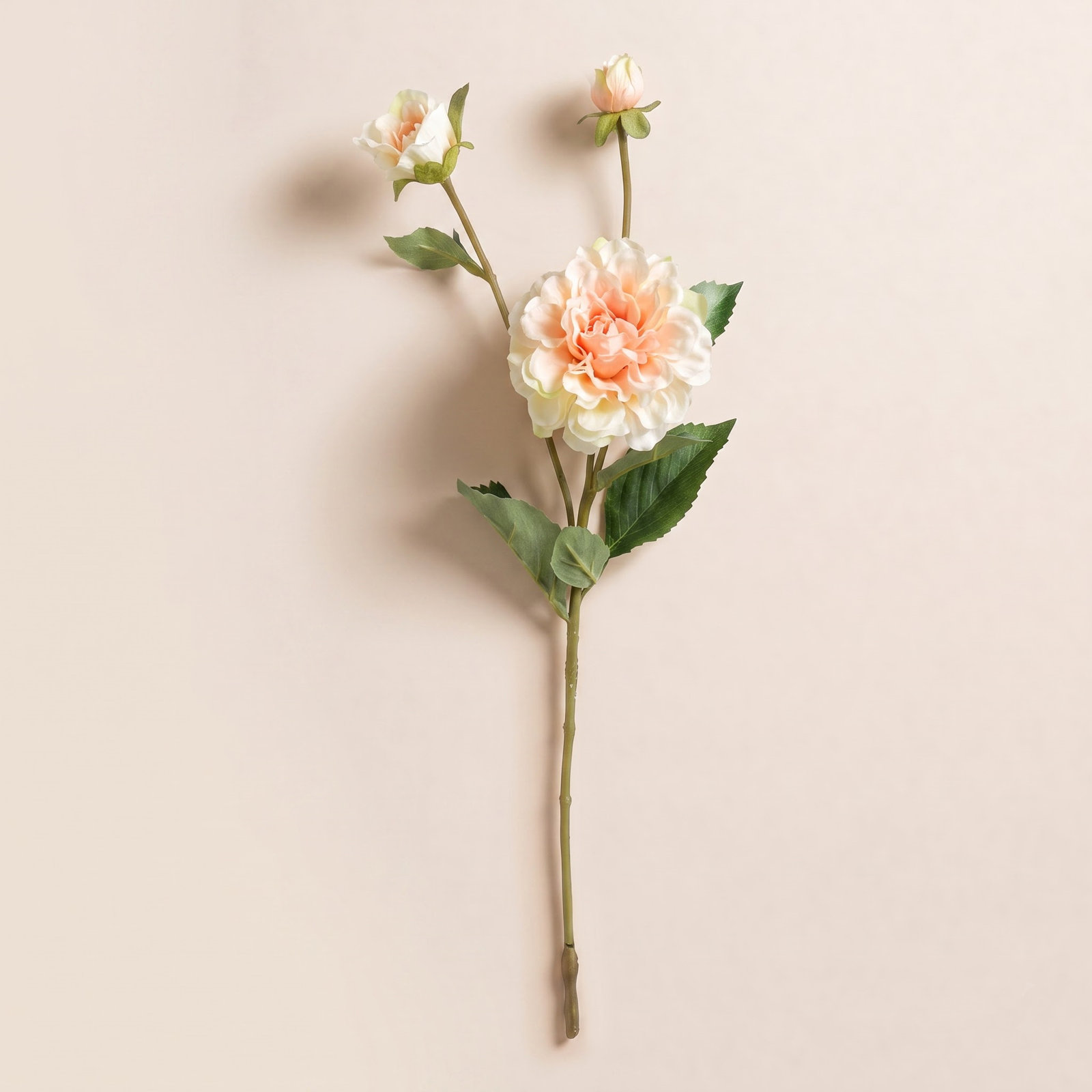Audet Peony Stems, Green