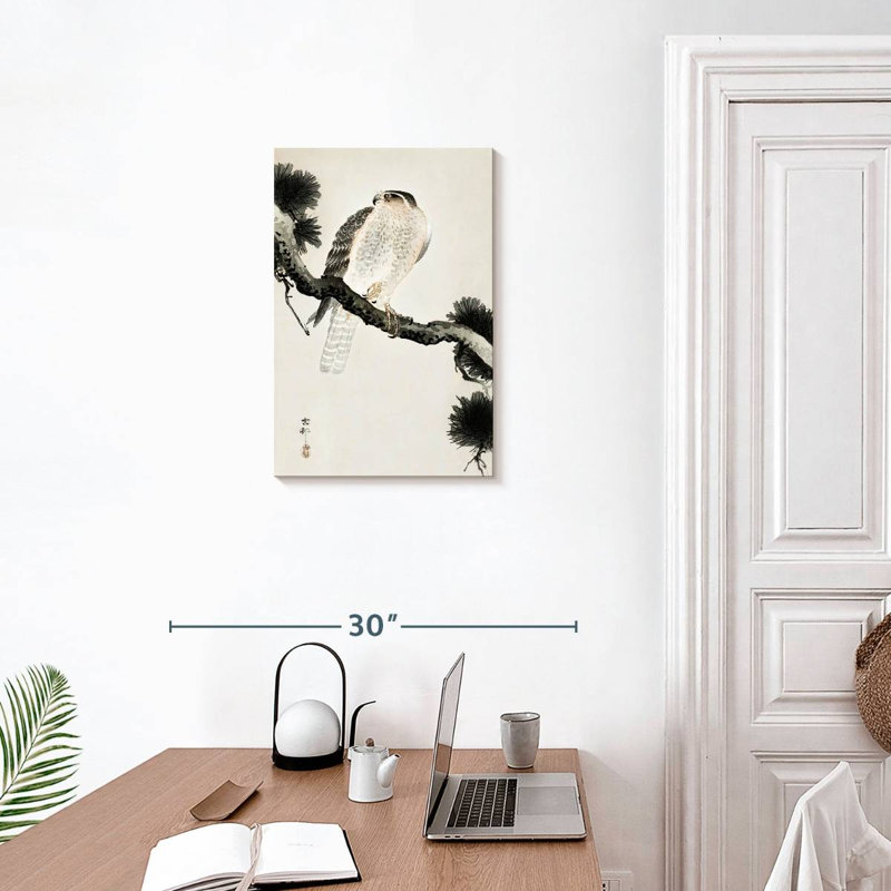 Brampt Hawk On Pine Branch, 24" H x 16" W