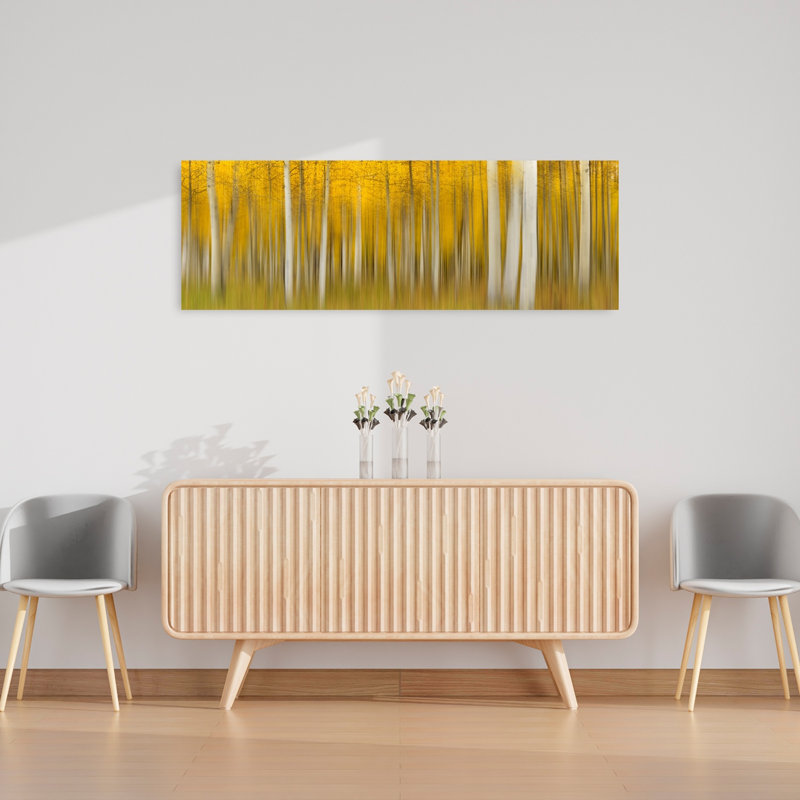 Golden Aspen Blur, H 16 po x l 48 po