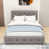 Light Gray