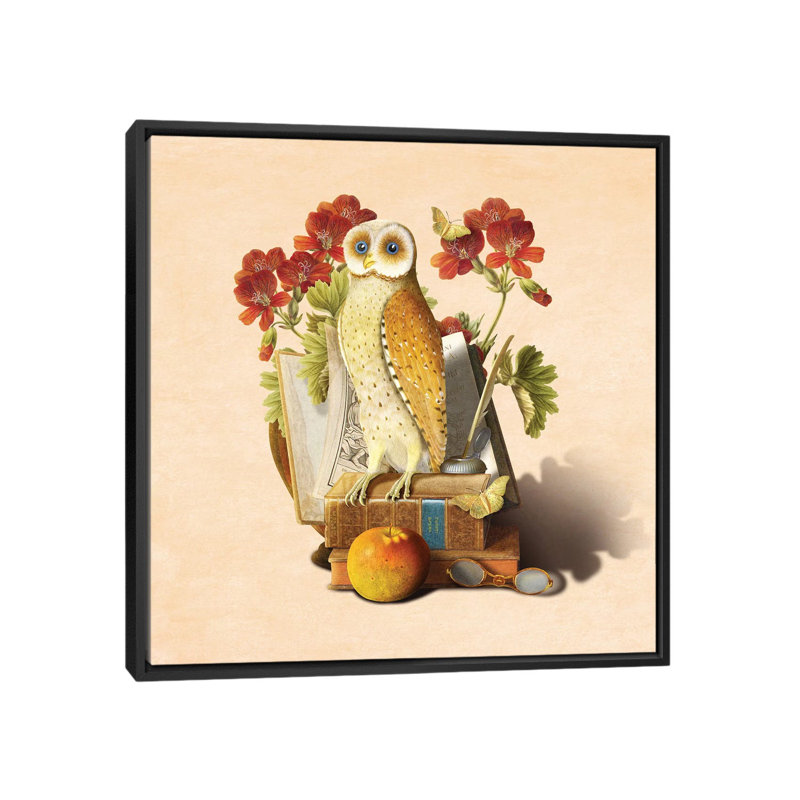 Hibou apprenti, H 18 po x l 18 po x P 1,5 po, Toile avec cadre noir