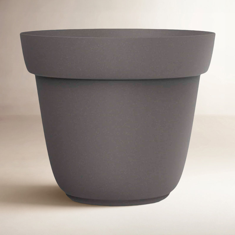 Pots à plantes Chloe, L 12 po x L 12 po x H 10 po, Tempête