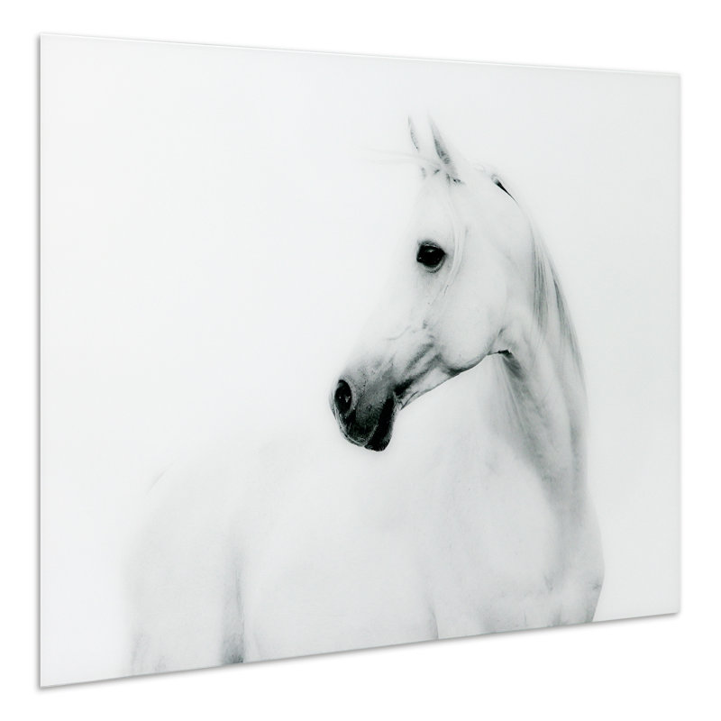 Cheval blanc, impression sur verre