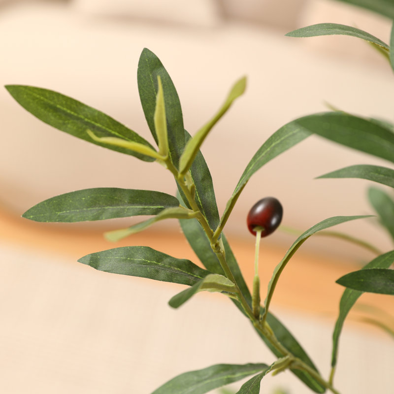 Adcock Artificial Olive Tree in White Planter, 72" H x 24" W x 24" D