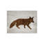 Wood Wildlife II Print by Isabella Burton-26706710-26706711