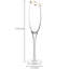 4 Piece 710ml Glass Flute Set