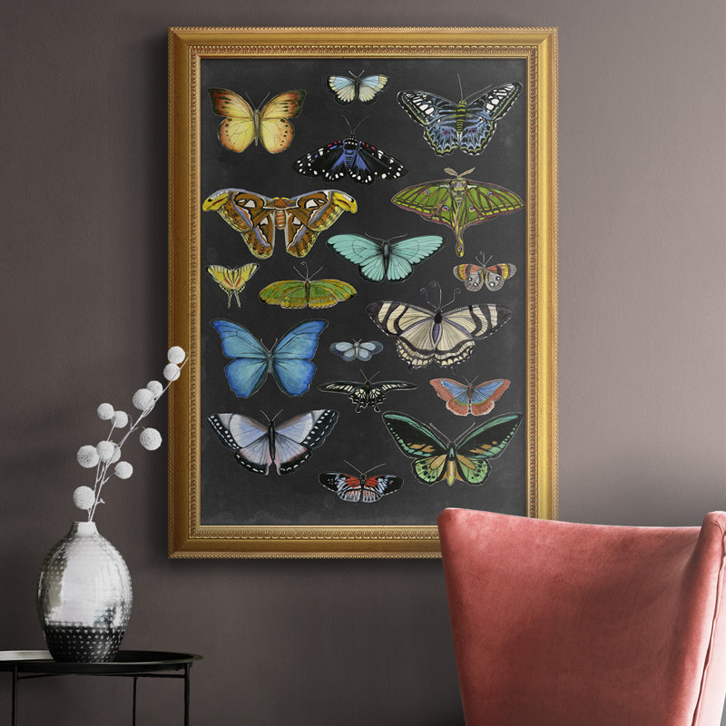 «Graphic Butterfly Taxonomie I», toile encadrée de qualité supérieure - prête à être accrochée, H 27 po x l 18 po x P 2,5 po