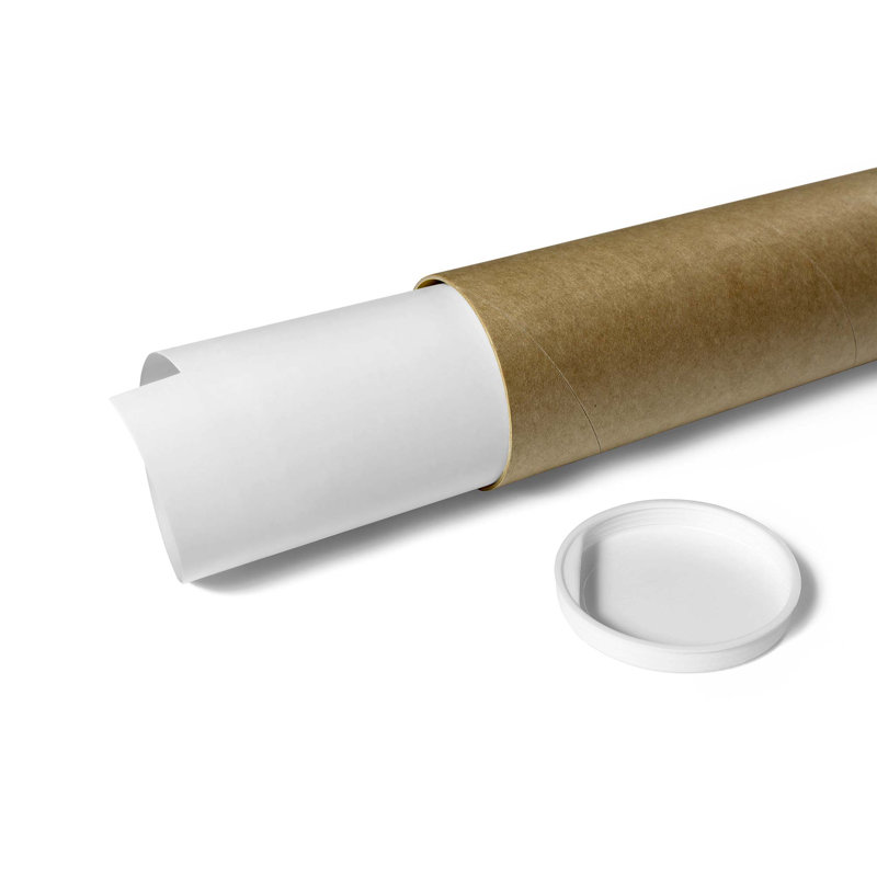 Orange Slice Bicycle - Unframed Graphic Art, 42cm H x 59cm W x 0.1cm D