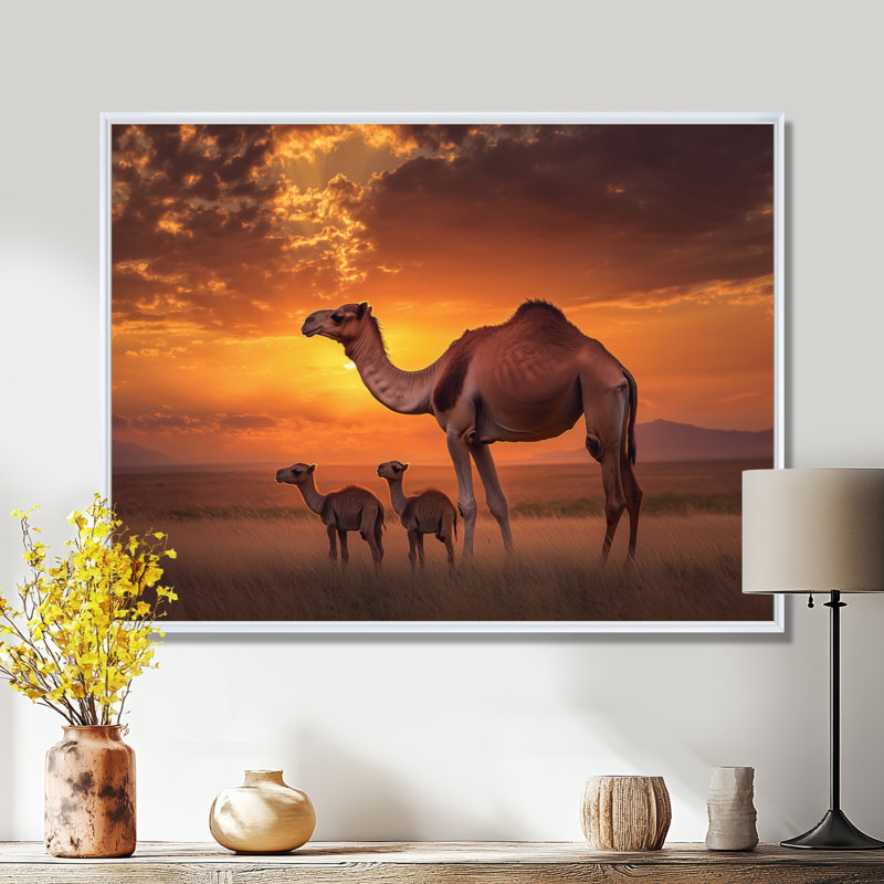 Afrique, paysage de chameaux au coucher du soleil - art mural imprimé chameau, H 24 po x l 32 po, Blanc