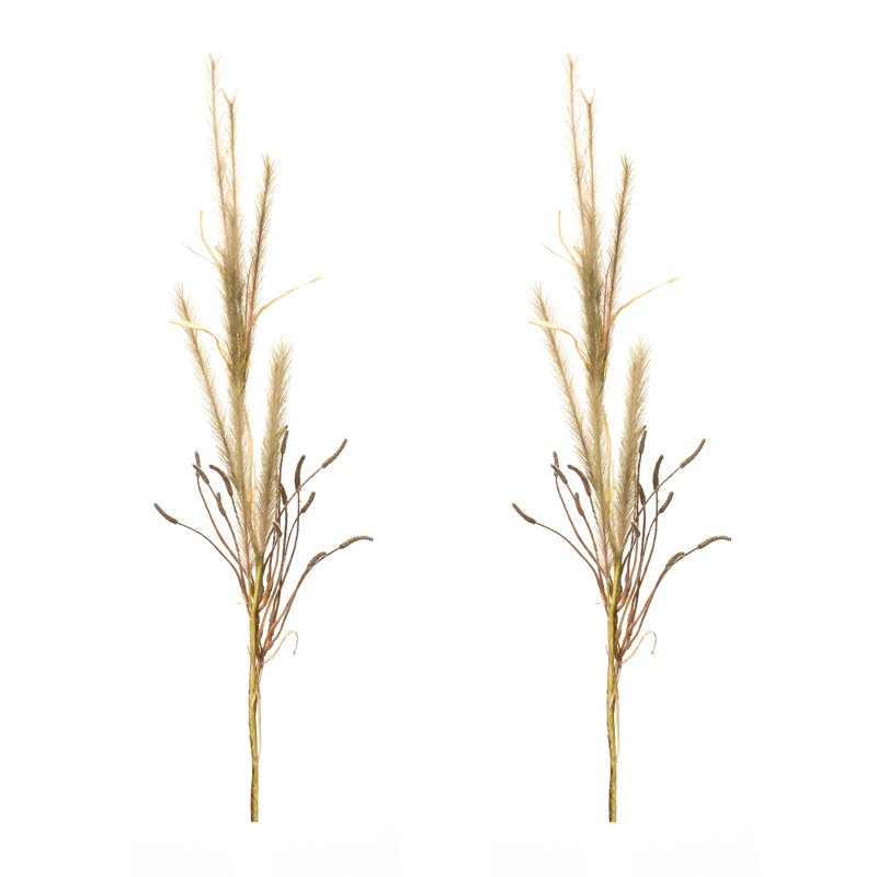 Herbe à sonnette (ensemble de 2)