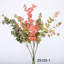 Buissons d'eucalyptus Hamlin-88400811