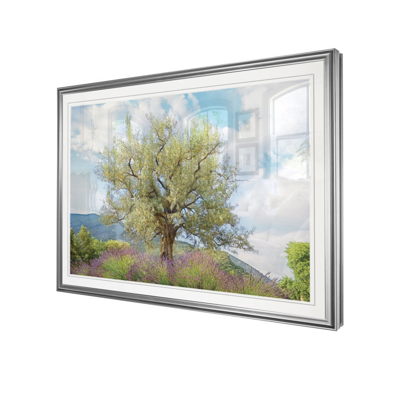 " Olive Tree And Lavender ", 20" H x 24" W x 1.5" D, Silver Frame
