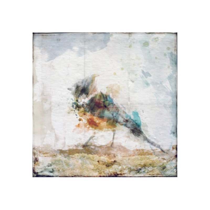«Watercolor Bird II» par Zoey Riley - Peinture, Plexi, H 24 po x l 24 po x P 1,5 po