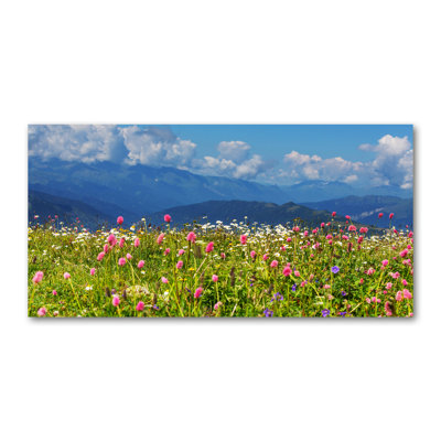 Meadow In The Mountains - Wrapped Canvas Print