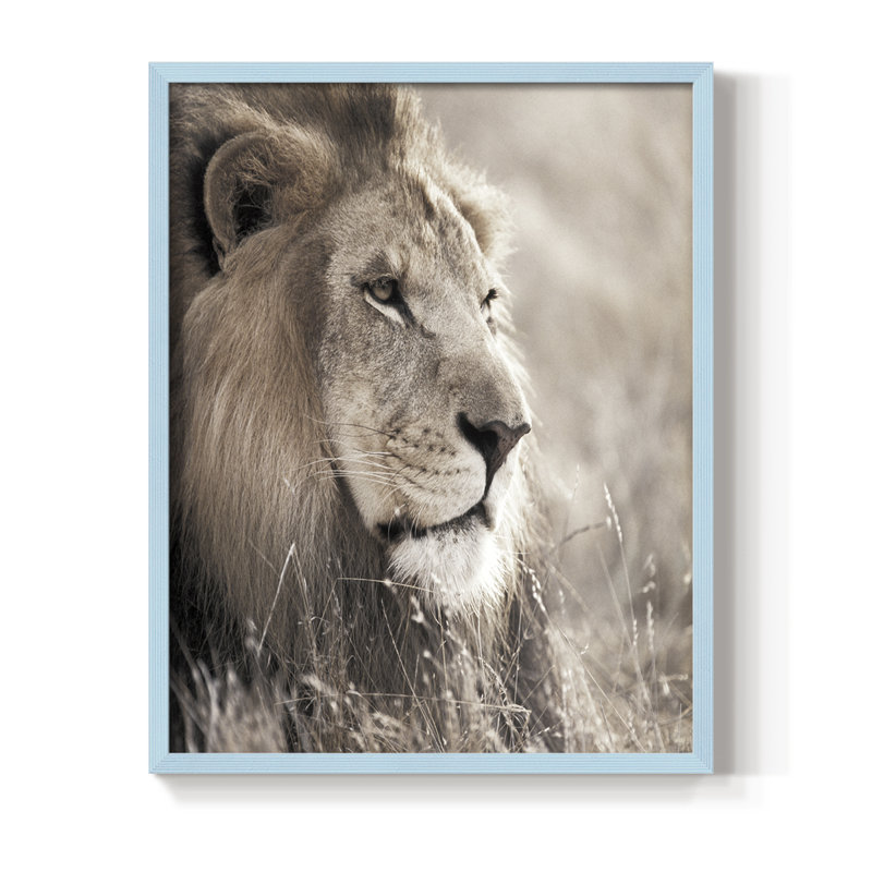 Leo Framed Print - Solid Wood, 30" H x 24" W, Blue