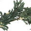Guirlande Snowberry Green pour la maison