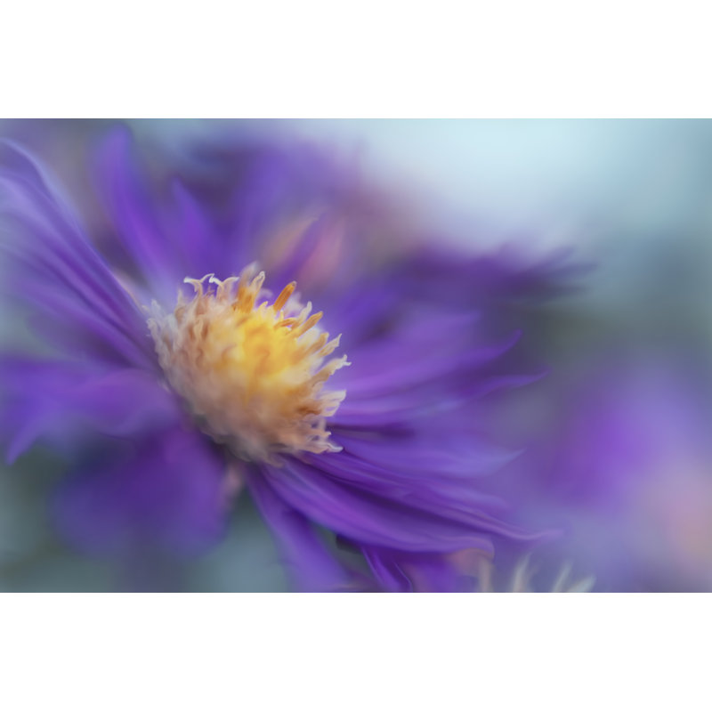 Or et mauve dans la brume III, H 8 po x l 12 po