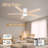 5-Blade Smart Flush Mount Ceiling Fan with Lights Remote, Voice WIFI Alexa App Control, Quiet DC Motor-1710489635-1710489633