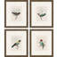 «On Perch I», ensemble de 4 reproductions encadrées