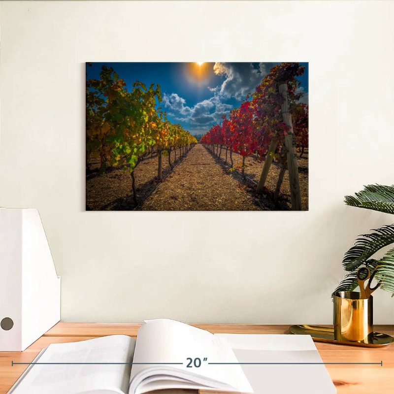 Yarlin Vineyard, H 8 po x l 12 po