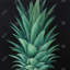 Feuilles d'ananas - Toile florale de cuisine pour la décoration intérieure