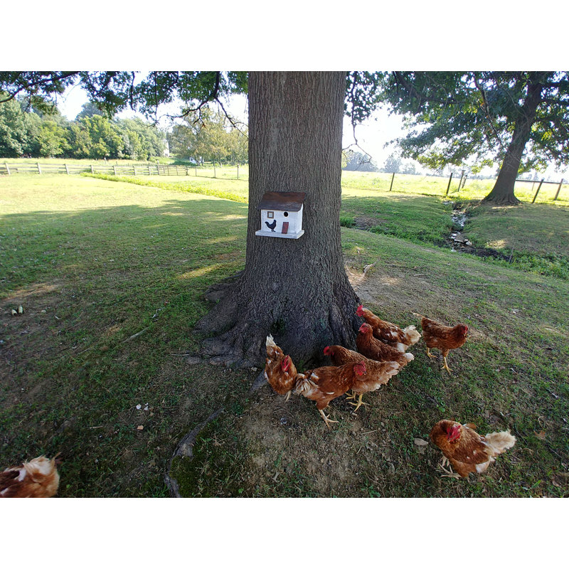 Bird in Hand Series Cumberland Chicken Coop 10 in x 10 in x 8 in Birdhouse