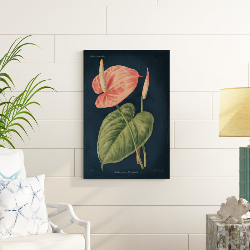Anthurium ferrierense bleu foncé, H 36 po x l 24 po x P 1,25 po