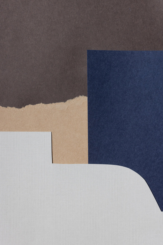 Ivy Bronx Torn Paper 11 | Wayfair.ie