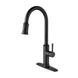 Pull Down Single Handle Kitchen Faucet
