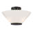 Hashimoto 3-Light Convertible Semi-Flush or Pendant in Matte Black-826836605