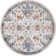 Oriental Indoor Rug