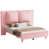 Rose est en rupture de stock