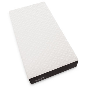 Matelas en mousse à mémoire de forme 10 po Cocoon by Sealy
