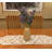Lilac Arrangement-1035406643
